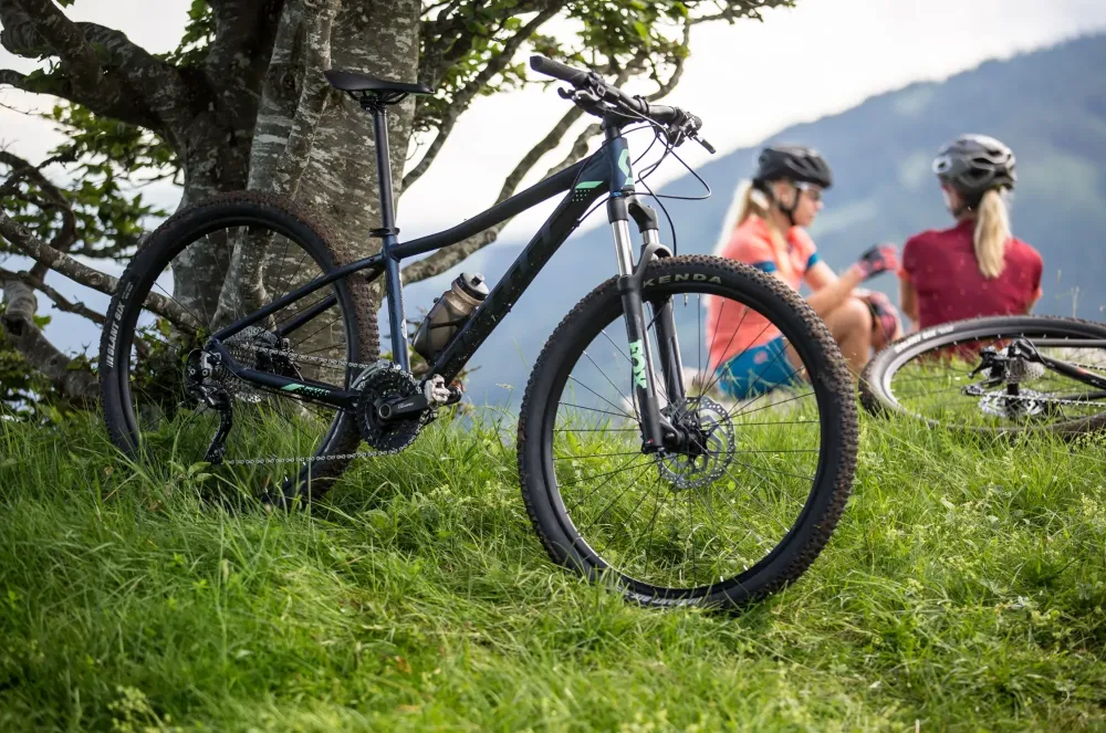 velo contre arbre avec filles 3