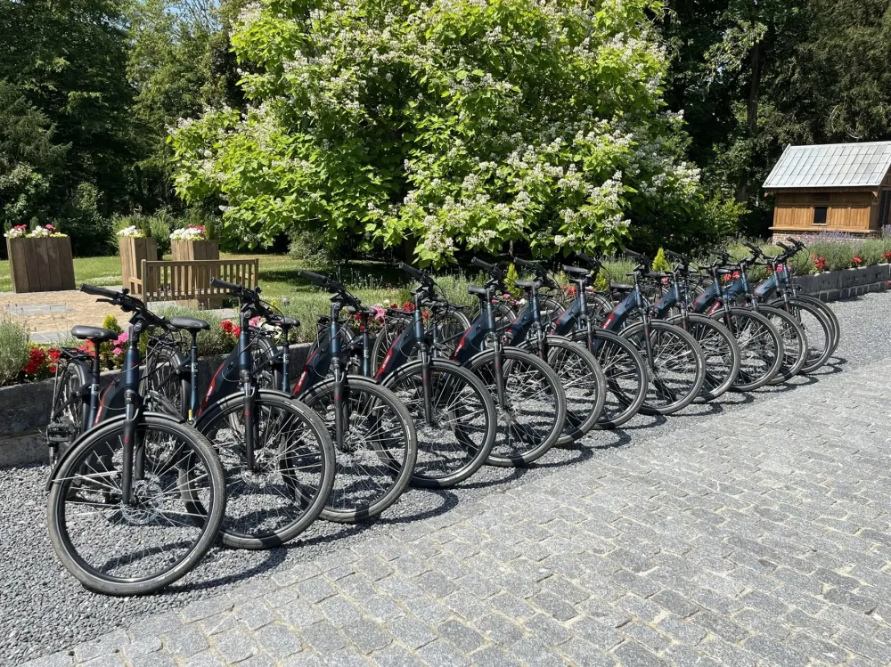 Vélo classique vignewebp
